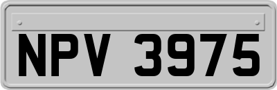 NPV3975