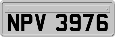 NPV3976