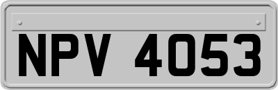 NPV4053