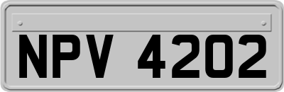 NPV4202