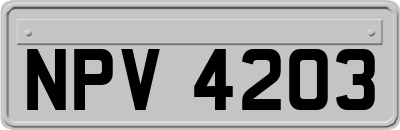 NPV4203