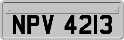 NPV4213