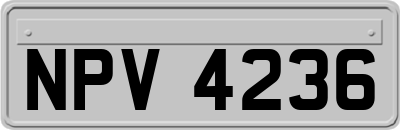 NPV4236