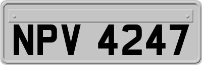 NPV4247