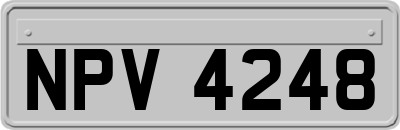 NPV4248