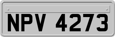 NPV4273
