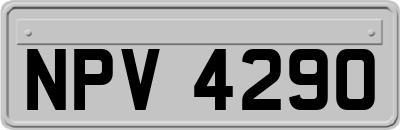 NPV4290