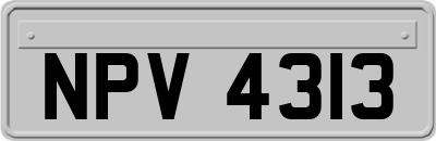 NPV4313