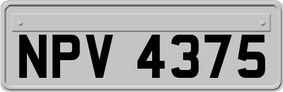 NPV4375