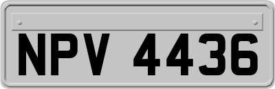 NPV4436