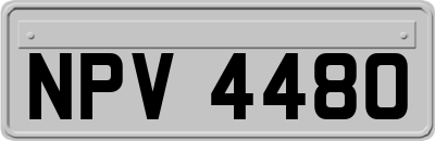 NPV4480
