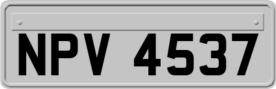 NPV4537