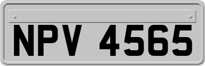 NPV4565