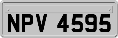 NPV4595