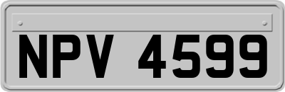 NPV4599