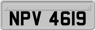 NPV4619