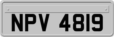 NPV4819