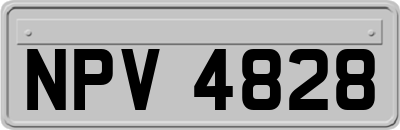 NPV4828