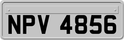 NPV4856
