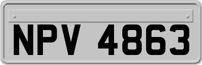 NPV4863