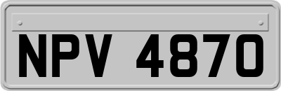 NPV4870