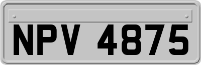 NPV4875