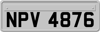 NPV4876