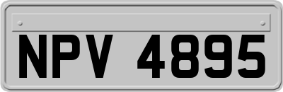 NPV4895