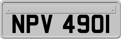 NPV4901