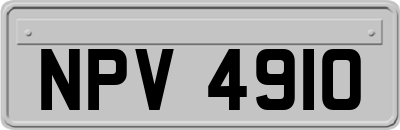 NPV4910