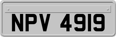 NPV4919