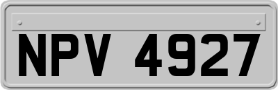NPV4927