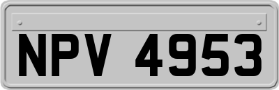 NPV4953