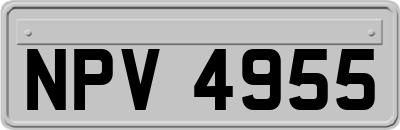 NPV4955