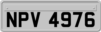 NPV4976