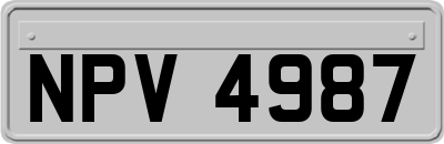 NPV4987