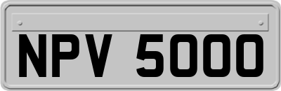 NPV5000