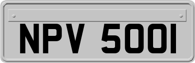NPV5001
