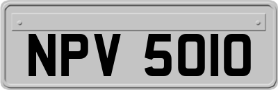 NPV5010