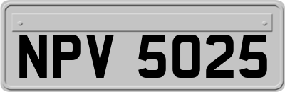 NPV5025
