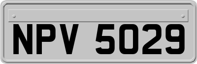 NPV5029