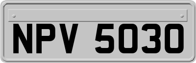 NPV5030