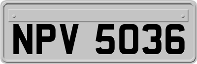 NPV5036