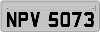 NPV5073