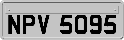 NPV5095