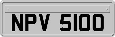 NPV5100