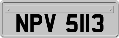 NPV5113