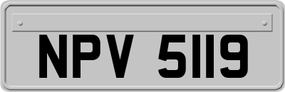 NPV5119