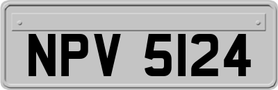 NPV5124