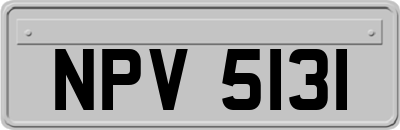 NPV5131